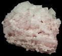 Pink Halite Crystal Plate - Trona, California #40548-4